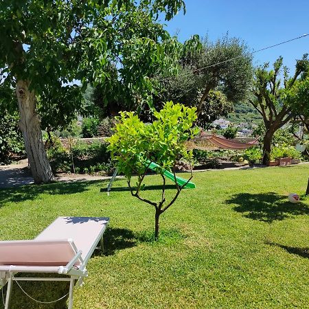 Il Giardino Lägenhet Barano dʼIschia Exteriör bild